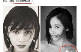 明星黑料最新,明星黑料曝光，真相背后引人深思