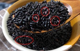 黑料不打料入口,探寻网络世界的真实与虚假