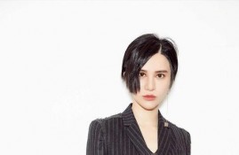 明星黑料网,明星黑料网背后的真相与影响